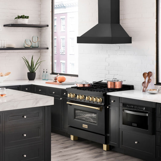 ZLINE 36 in Wall Mount Range Hood 700 CFM Black Stainless Steel (BS655N-36)