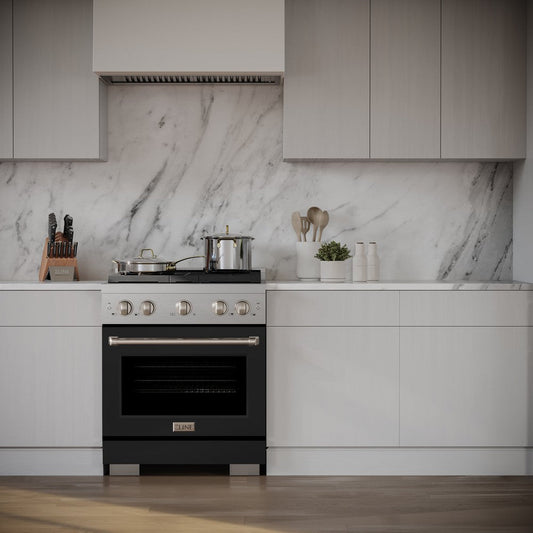 ZLINE Paramount 30 in. 4.2 cu. ft. Dual Fuel Range with 4 Burner Gas Cooktop and Electric Convection Oven in Stainless Steel with Black Matte Door (SDR-BLM-30)